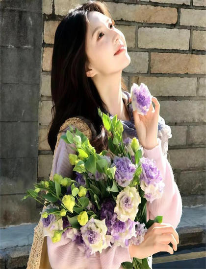 幕后花絮：《多米诺之家》观影评价：优缺点全面分析，值得一看吗